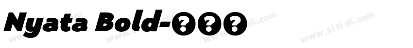 Nyata Bold字体转换
